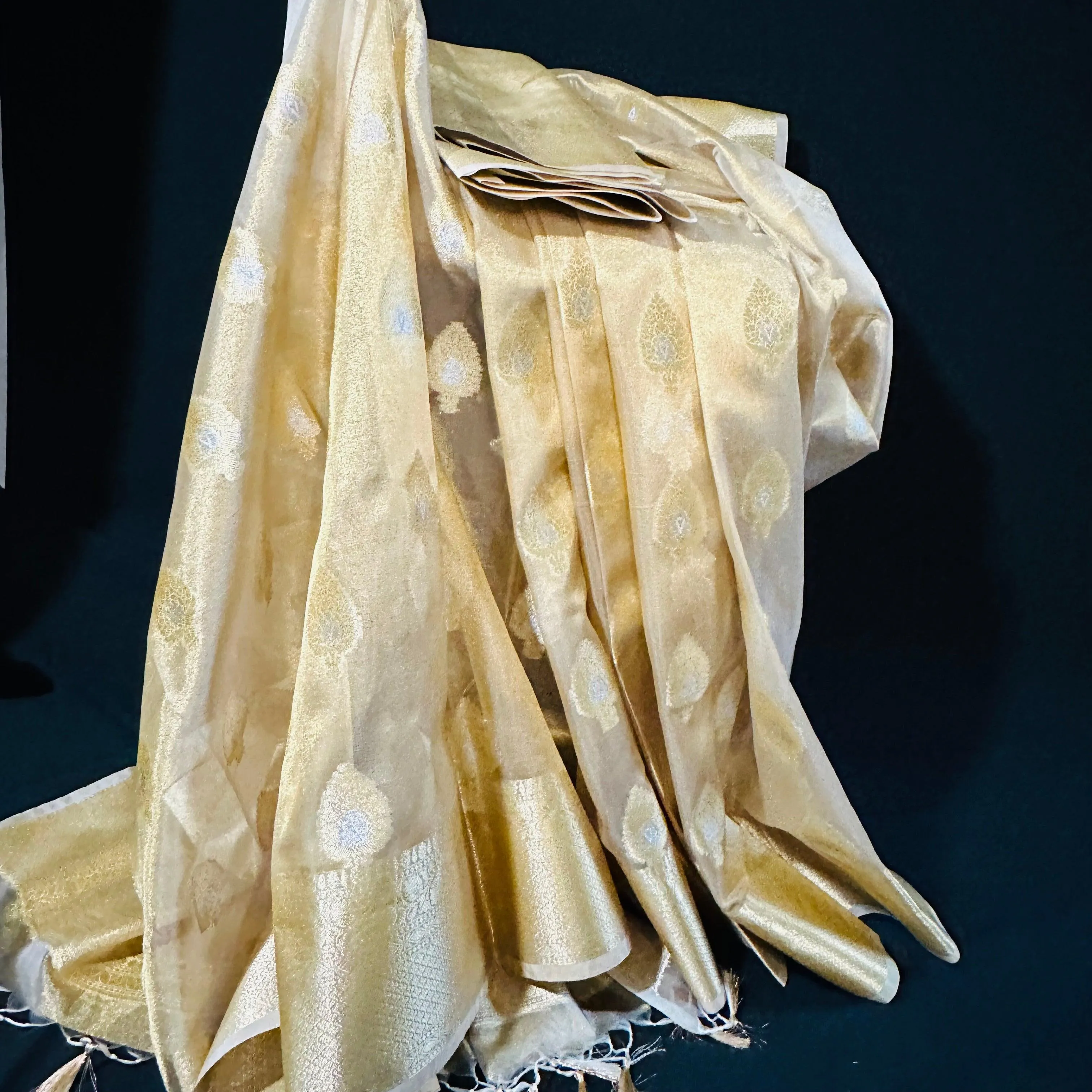 Banarasi Tissue Silk Saree with Regal Motiffs in Gold & Silver Zari