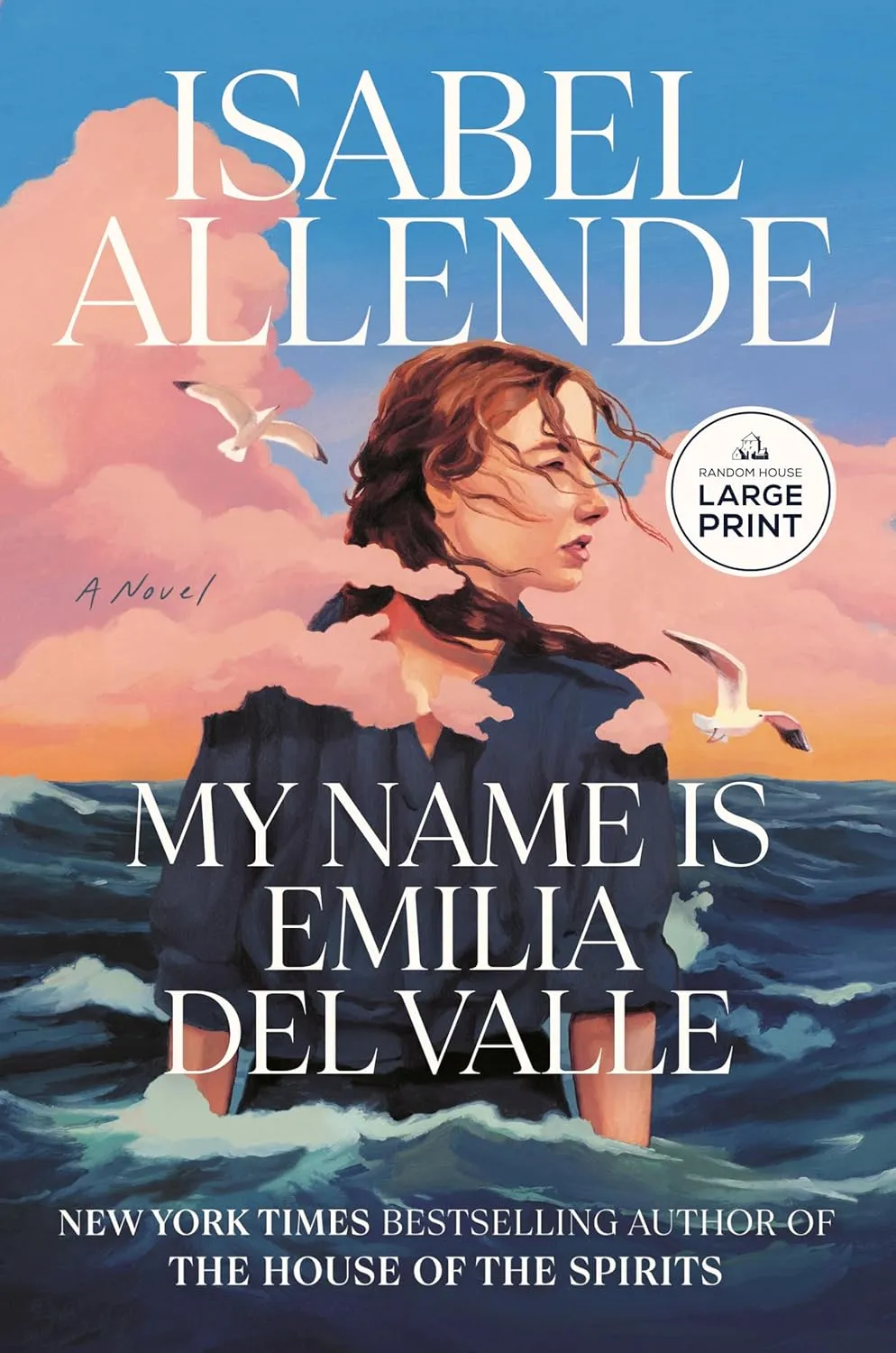 My Name Is Emilia del Valle: A Novel Paperback  Large Print, May 6, 2025